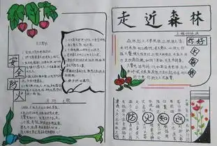 小学生森林防火手抄报2安全教育手抄报手
