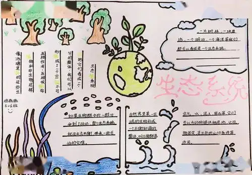 让自然世界更美好本真部五年级科学生态系统手抄报展示