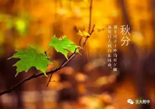 秋分