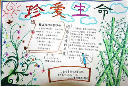 珍爱生命手抄报珍爱生命名言