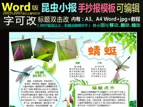 word动物小报模板电子手抄报昆虫蜻蜓图片worddoc设计图下载科学手抄报大全编号16629695
