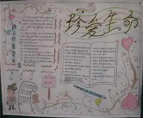 珍爱生命手抄报生命需要保障