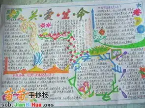 关爱生命手抄报
