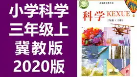 2名男子海底潜水,意外发现水下人群聚集,凑近一看赶紧上了岸