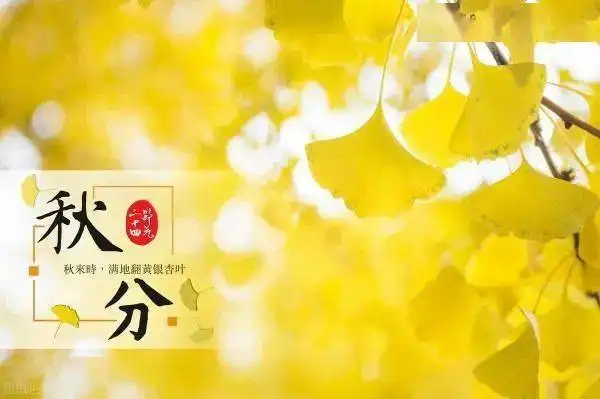 三门峡市蒙特梭利幼稚园秋分主题活动