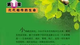 三年级数学下册,相邻和不相邻面积单位间的换算