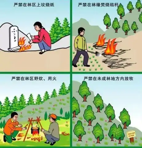森林草原防火知识宣传单
