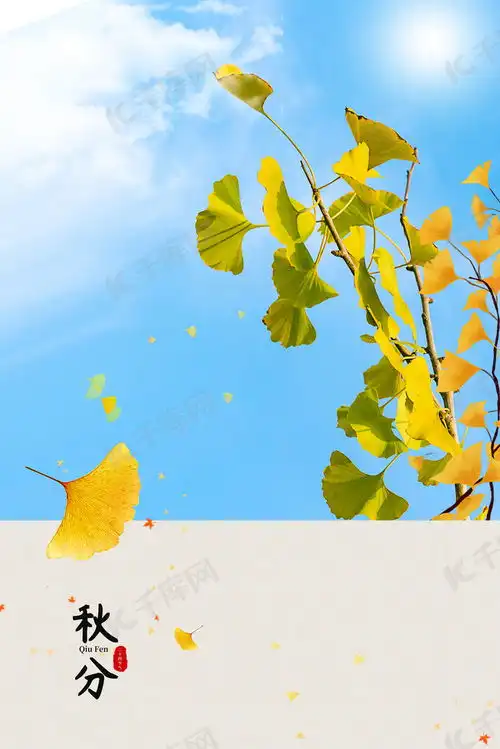 简约传统节气秋分背景图片免费下载千库网