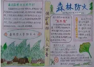森林防火手抄报森林防火手抄报版面设计