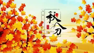 秋分视频素材秋分视频模板下载熊猫办公