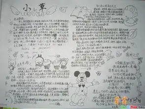 小学二年级手抄报图片