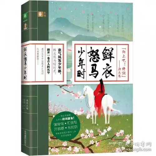 9787549836628sn鲜衣怒马少年时
