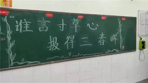 感恩生命,孝敬父母