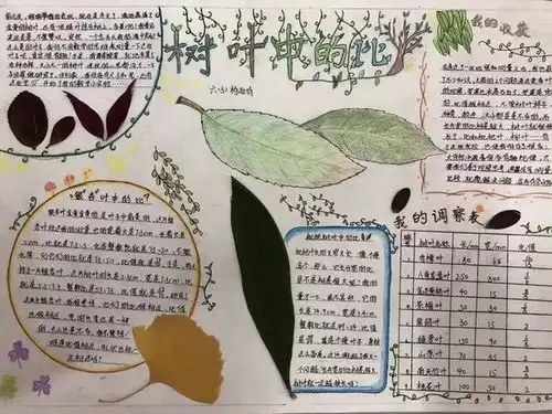 趣味数学节之数学手抄报小能手