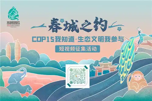 一路往春天开住进云南的怀抱里