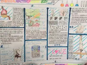 最新化学手抄报版面设计图片,关于化学与生活的手抄报内容天天板报网