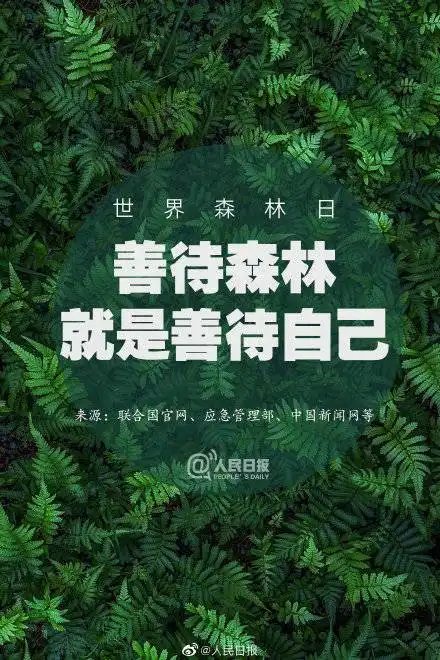 今天世界森林日,保护森林,就是善待我们自己