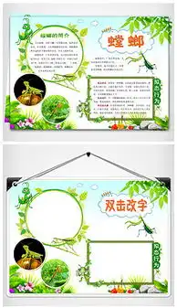 螳螂图片素材螳螂图片素材下载螳螂背景素材螳螂模板下载我图网