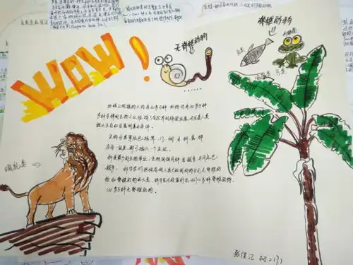 附校风采国庆手抄报之丰富多彩的生物世界评选结果揭晓中