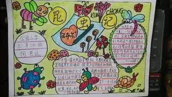 夏日昆虫的手抄报字少画多