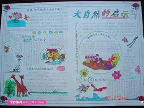大自然的启示手抄报图片要图