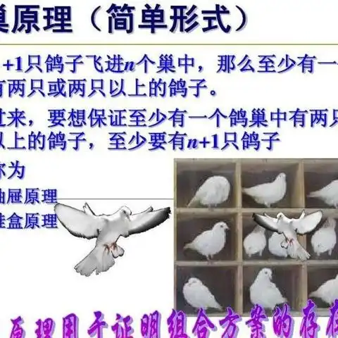 鸽巢原理