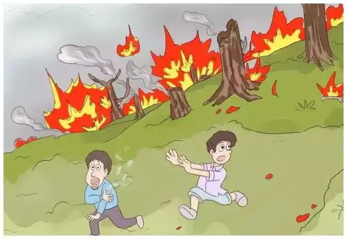 春季山火高发这些森林防火常识要知道