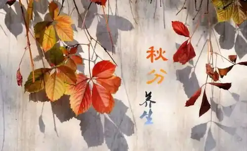 秋分节气滋阴防秋燥,养生重平衡