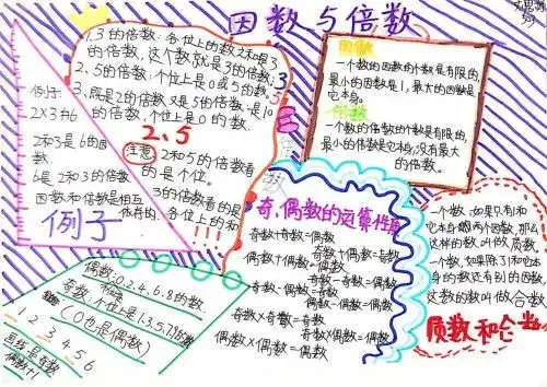 学好数学有多容易69名袋鼠竞赛获奖者告诉你探究数学的魅力