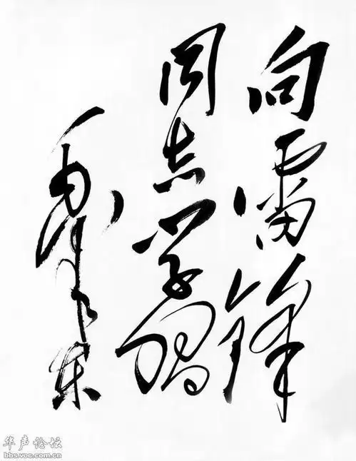 雷锋手抄报要求图多,字少