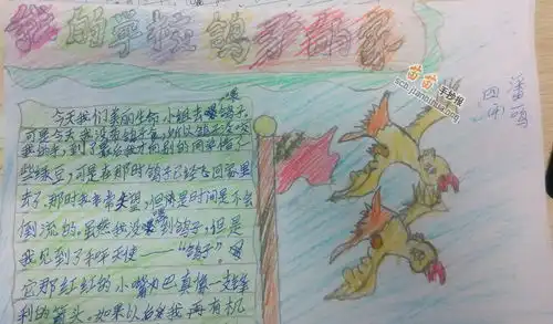我的学校鸽子的家手抄报图片大全内容