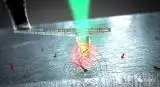 探针