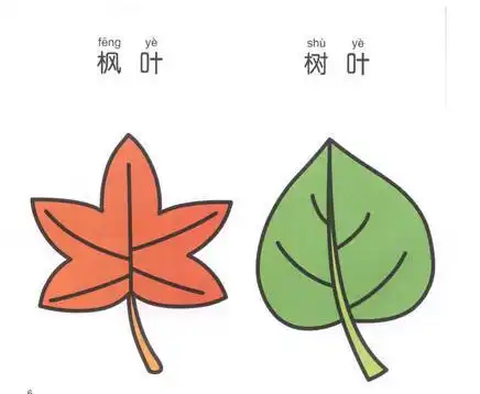 叶子怎么画